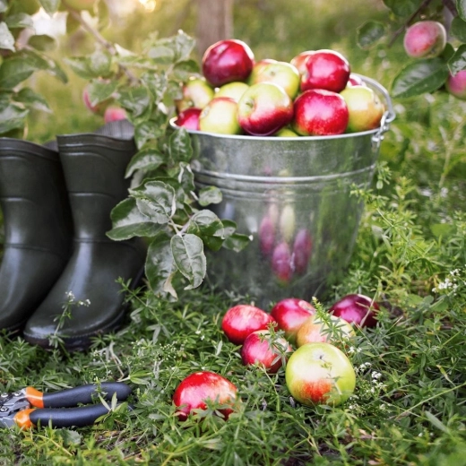 Univerzální využití doma i venku