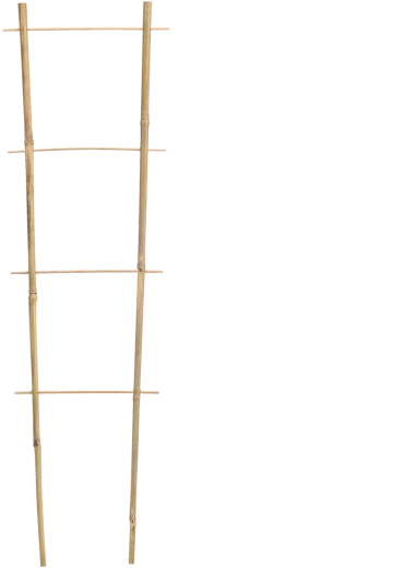 Bambusová zahradní opora 90 × 35 cm, průměr 10/12 mm