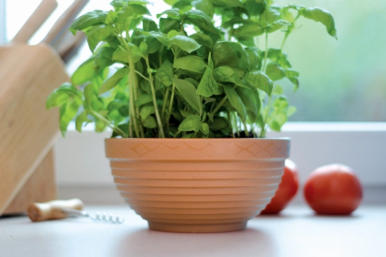 Ideální pro bylinky i sezónní květiny