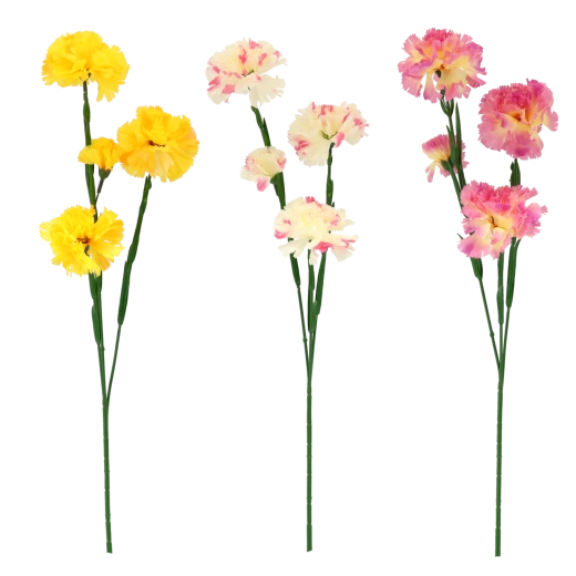 Mix elegantních barev