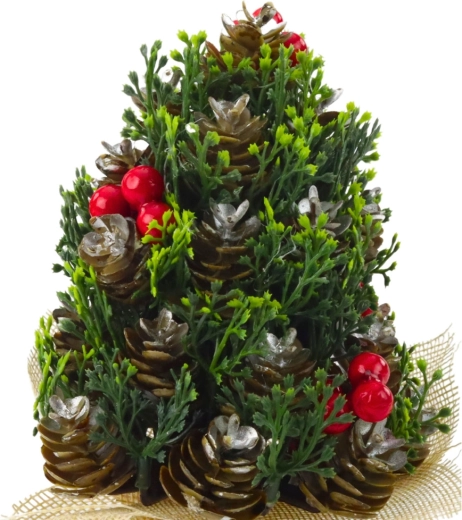 Realistické detaily šišek a bobulek