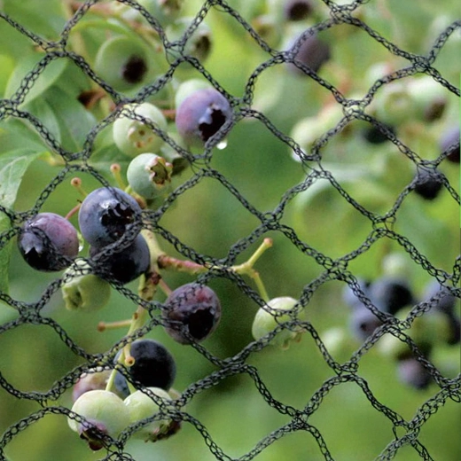 Spolehlivá ochrana úrody a rostlin