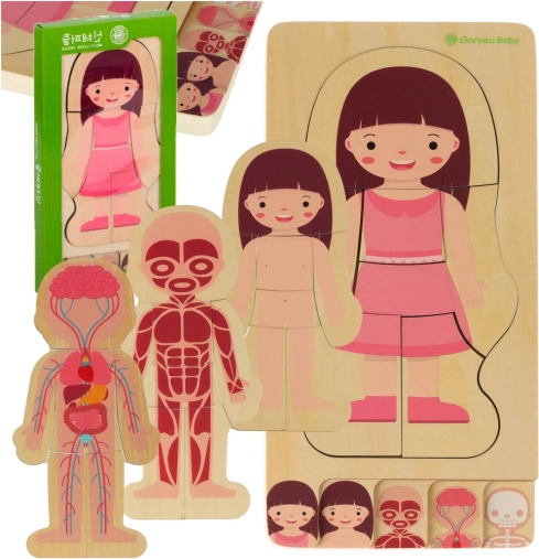 Dřevěné vrstvené puzzle lidské tělo – dívka Montessori