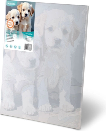 Předtištěné plátno na rámu – malujte hned