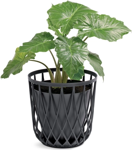 Stylový doplněk interiéru