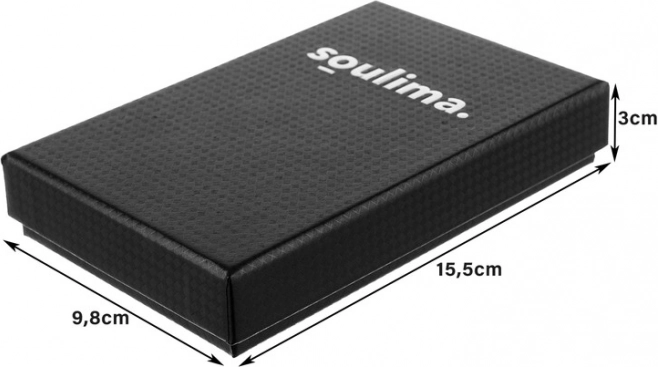 Elegantní úložný box pro bezpečné skladování