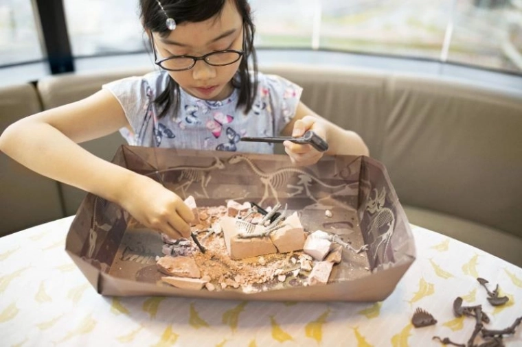 Skutečný zážitek z vykopávek doma