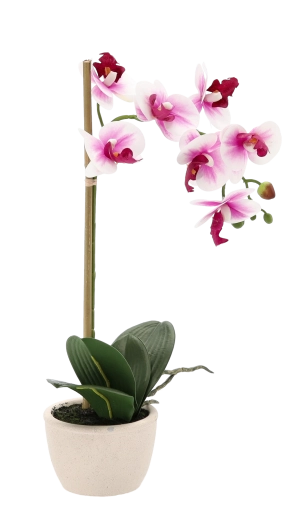 Přirozeně realistické květy a listy