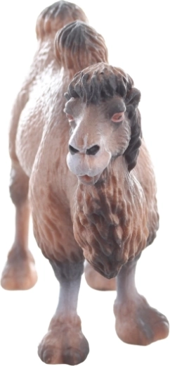 Odolný plast a stabilní postoj