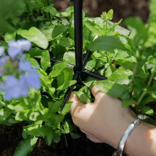 Stabilní podpora pro bohaté kvetení