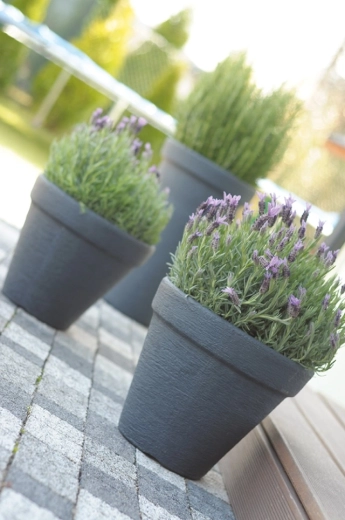 Elegantní strukturovaný povrch pro moderní i klasické prostory