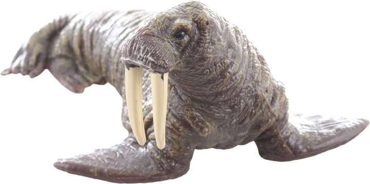 Ideální pro učení i sbírání