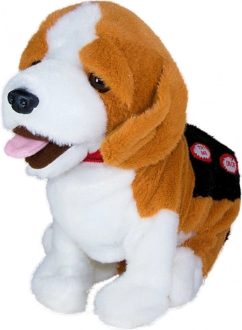 Podporuje rozvoj dovedností