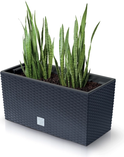 Účinný odtok s ochranou kořenů