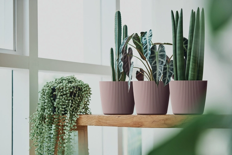 Stylová dekorace pro domov i balkon