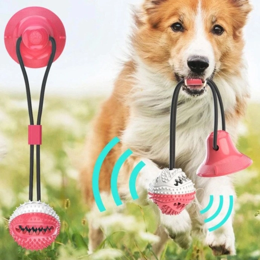 Zdravé zuby a dásně při každé hře