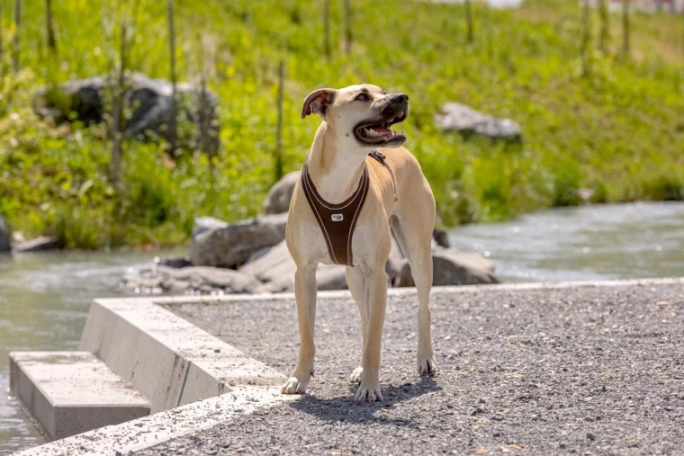 Chladicí efekt a snadné ovládání