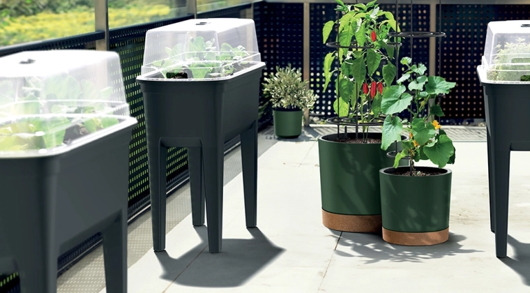 Integrovaná opěrná konstrukce pro jistý růst