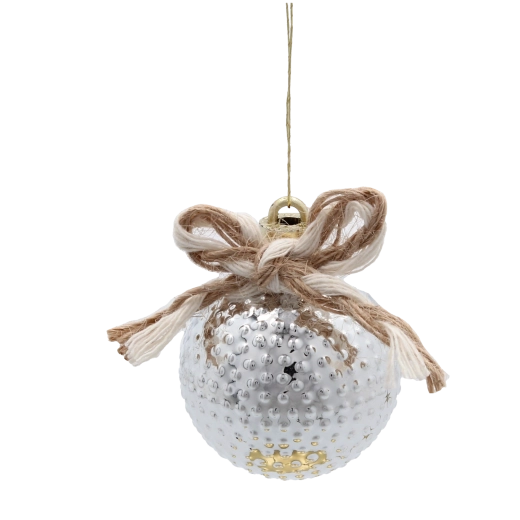 Elegantní stříbrná a šampaňská