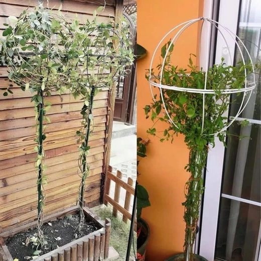 Kovová opora pro popínavé rostliny a růže 50 × 10 cm – bílá