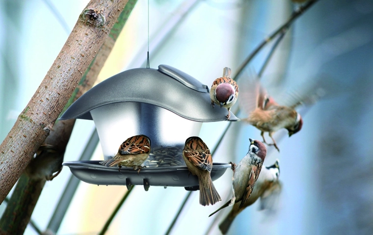 Průhledná nádoba pro snadnou kontrolu krmiva