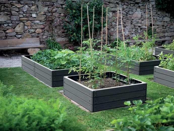 Přirozená drenáž a zdravý růst