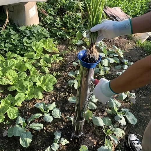 Rychlé sázení bez námahy