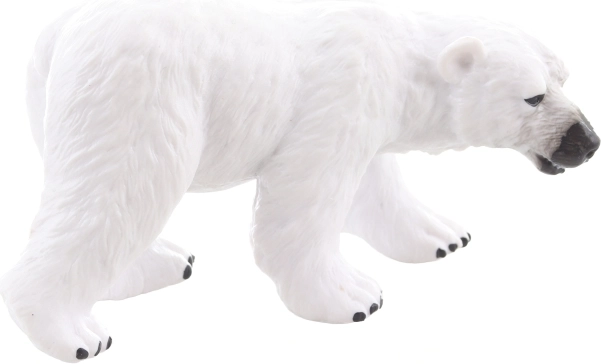 Ideální do sbírky i na výstavku