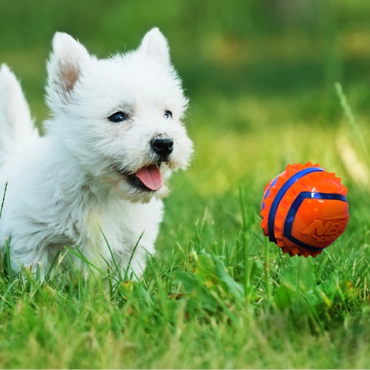 Vysoká viditelnost při venkovní hře