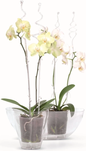 Ideální pro pěstování orchidejí