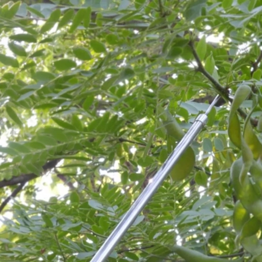 Dlouhý dosah až 4 m