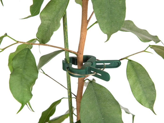 Pevné a šetrné uchycení stonků