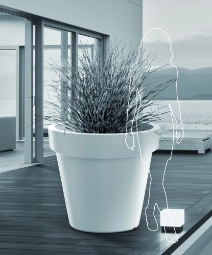 Prostor pro velké výsadby