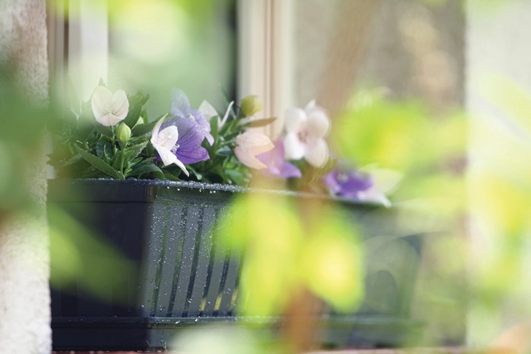 Elegantní antracit, který ladí s exteriérem