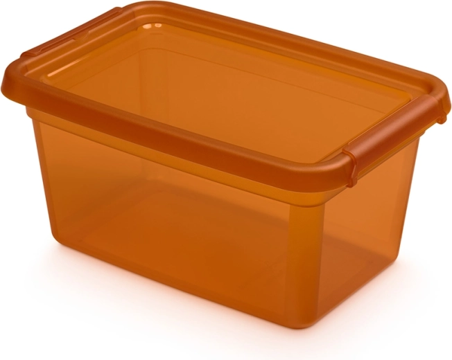 Basestore úložná dóza s víkem a klipsami 4,5 l amber