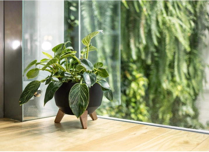 Elegantní vzhled v každém prostoru