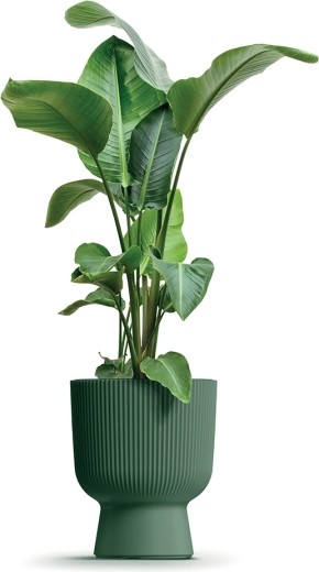 Vyjímatelná vložka pro bezstarostnou péči