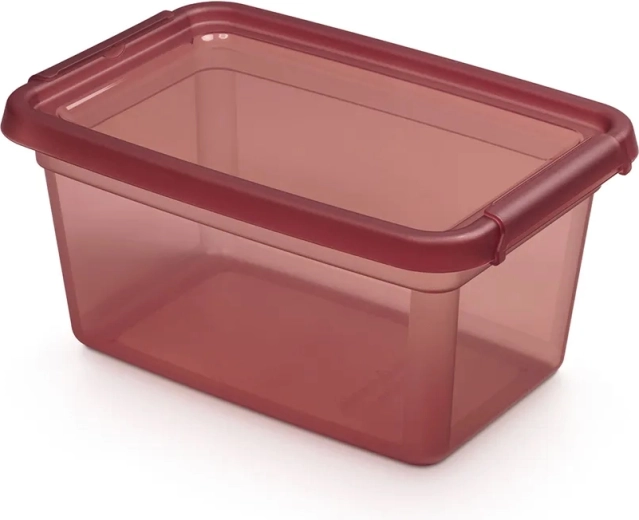 Basestore úložná dóza s víkem a klipsy 4,5 l rhubarb