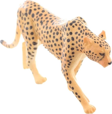 Ideální pro učení i sbírání