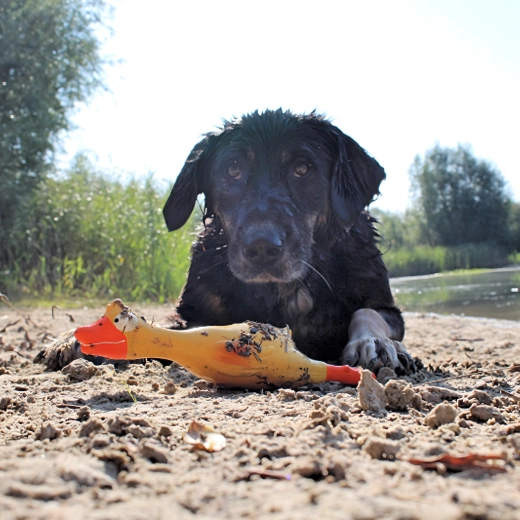 Jasná žlutá barva pro snadné dohledání