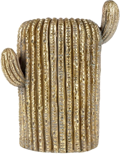 Realistická textura kaktusu