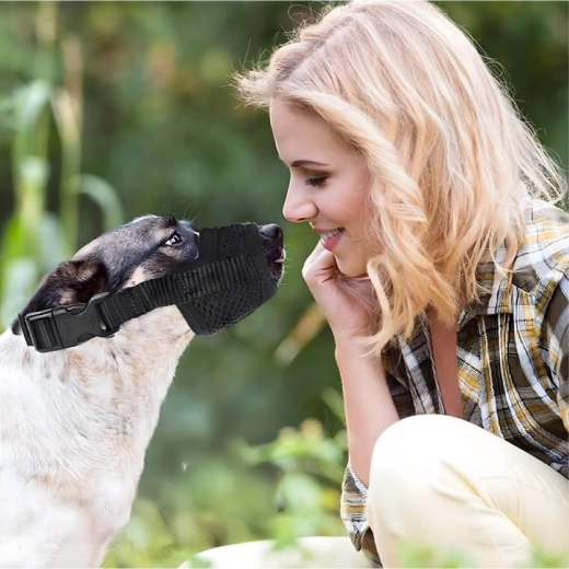 Bezpečí při tréninku i u veterináře