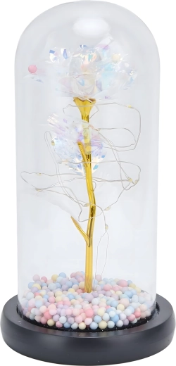 Skleněný dóm chrání a zdobí