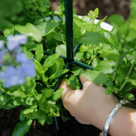 Stabilní opora pro zdravý růst