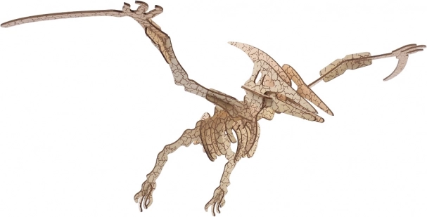 Woodcraft dřevěné 3D puzzle pterosaurus