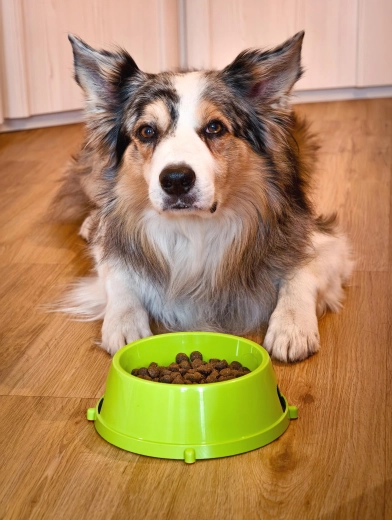 Vhodná na vodu i krmivo