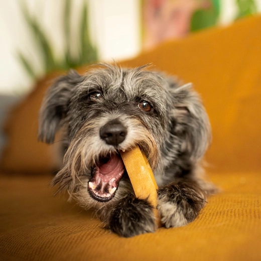 Podpora zdravých zubů a dásní