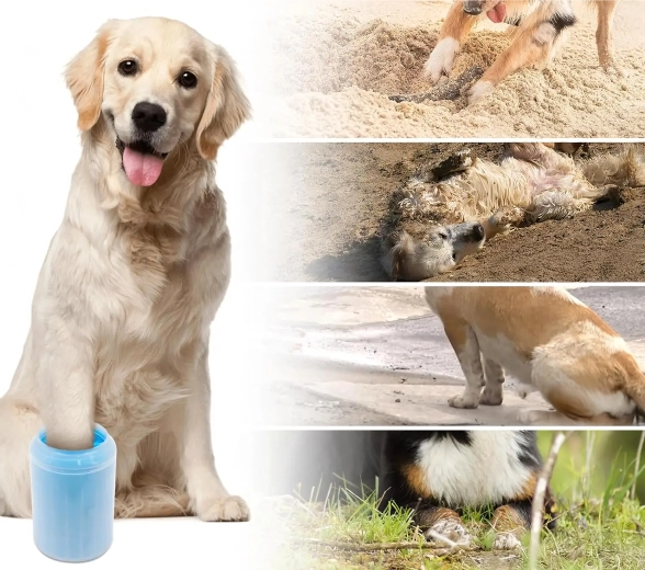 Čisté auto i podlaha po každé procházce