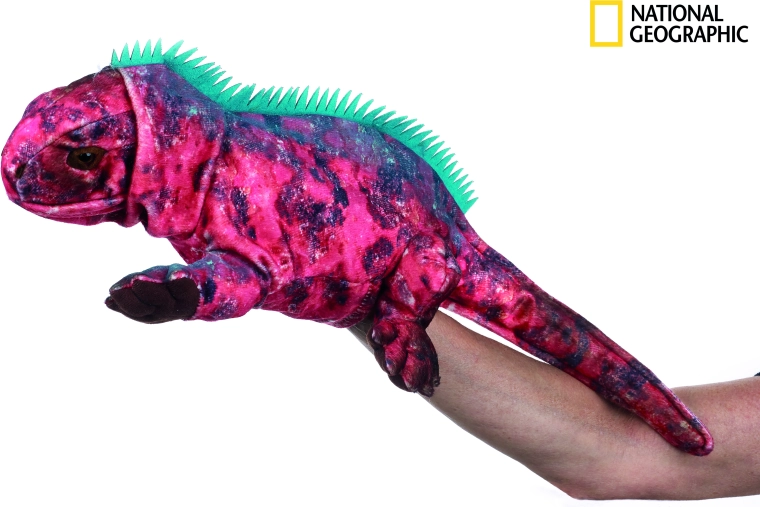 National Geographic maňásek Leguán