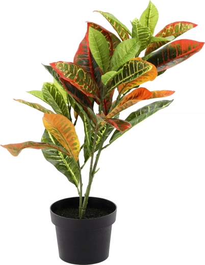 Nulová údržba, maximální efekt